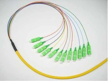 SC/APC- SC/APC fiber optic patch cord Fiber jumper SC-SC APC Multi core 12 fiber 24core