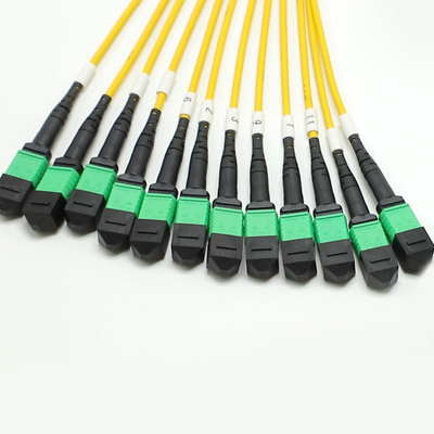 144F MTP MPO Fanout Cable SMG657A1 MPO APC to MPO APC Breakout Fiber Optic Patch Cord