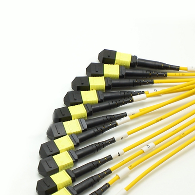 144F MTP MPO Fanout Cable SMG657A1 MPO APC to MPO APC Breakout Fiber Optic Patch Cord