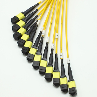 144F MTP MPO Fanout Cable SMG657A1 MPO APC to MPO APC Breakout Fiber Optic Patch Cord