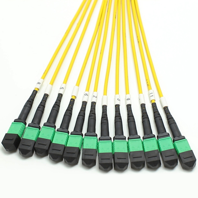 144F MTP MPO Fanout Cable SMG657A1 MPO APC to MPO APC Breakout Fiber Optic Patch Cord