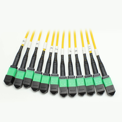 144F MTP MPO Fanout Cable SMG657A1 MPO APC to MPO APC Breakout Fiber Optic Patch Cord