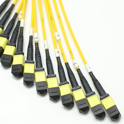 144F MTP MPO Fanout Cable SMG657A1 MPO APC to MPO APC Breakout Fiber Optic Patch Cord