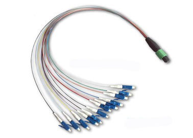 APC 12 core MTP / MPO – LC Fiber Optic Patch Cord for Premise Installations