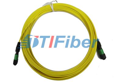 12 core MTP Fiber Optic Patch Cord with 3.0mm Round Fiber Cable