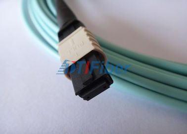 24core OM4 MTP Fiber Patch Cord , MPO Trunk Cable Female Connector
