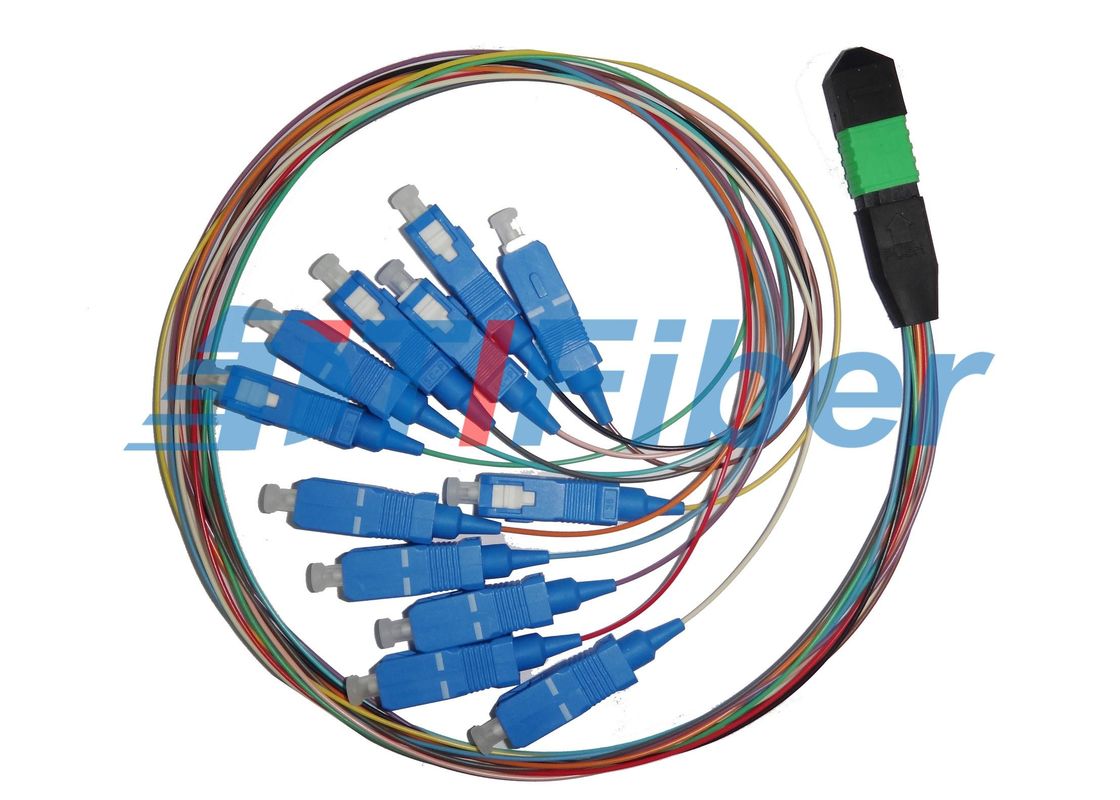 MPO to SC Fiber Optic Patch Cord 12 Fiber For MPO Cassettes